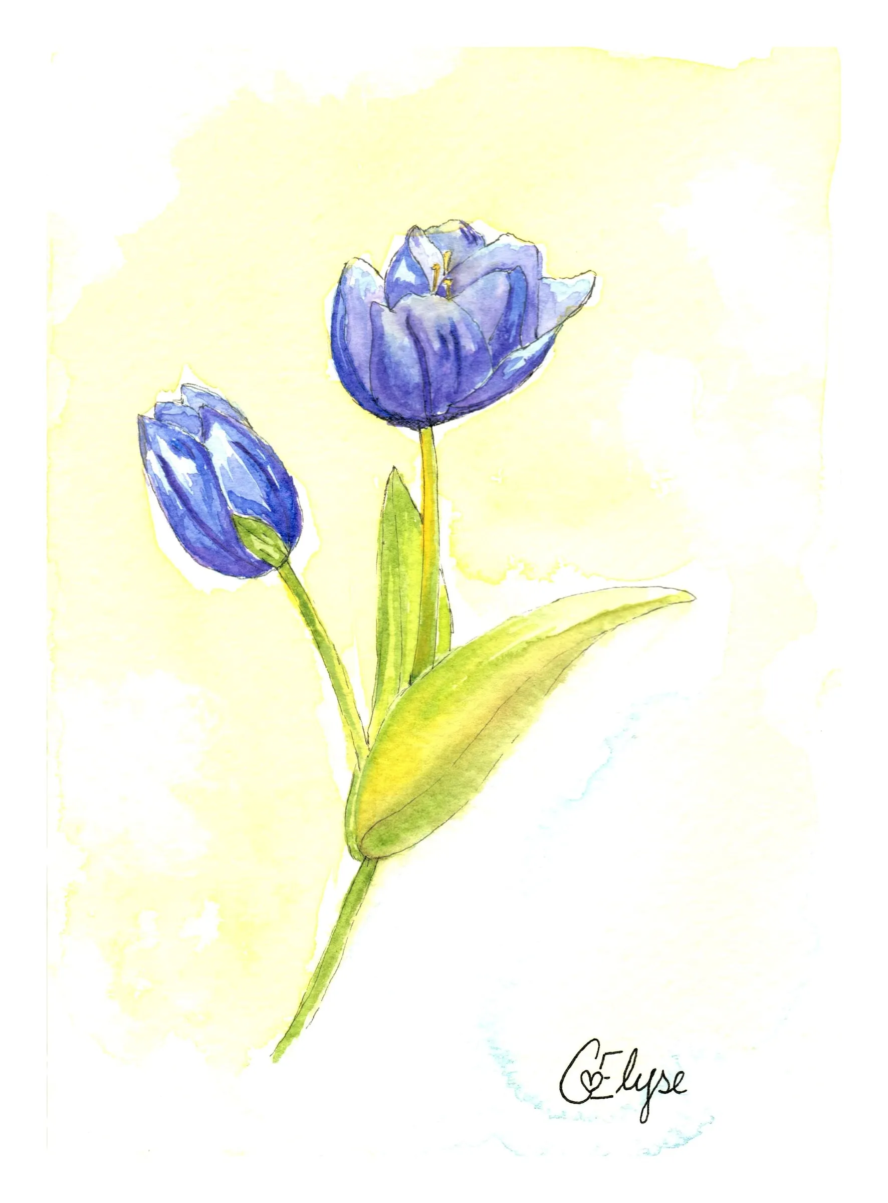 Two blue-violet tulips on green stems against a pale yellow wash.