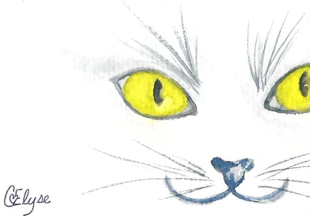 Close-up of a white cat's face with yellow eyes, fine gray whiskers and a blue-gray nose.