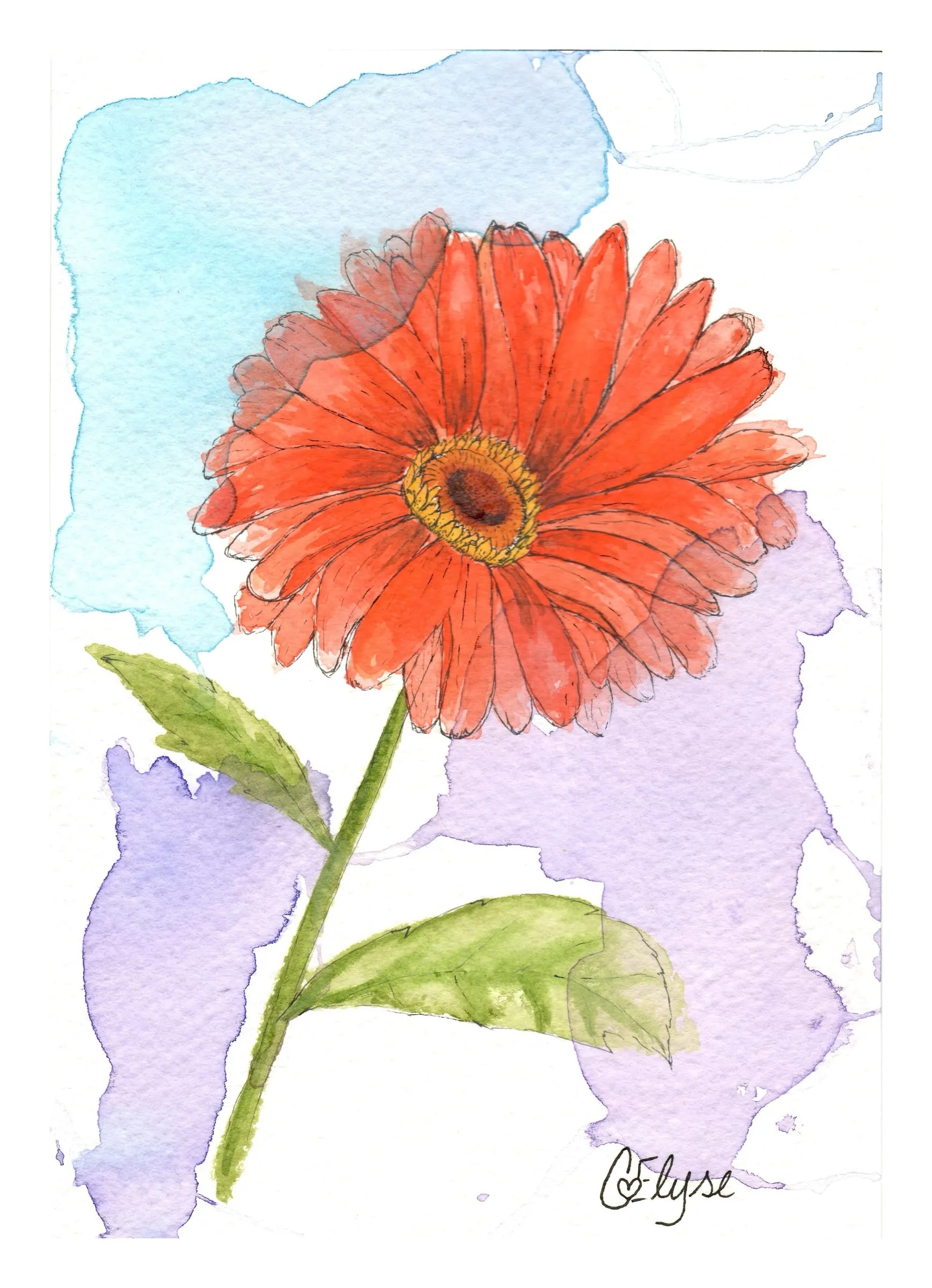 A red-orange gerbera daisy with two green leaves over soft blue and lavender washes.