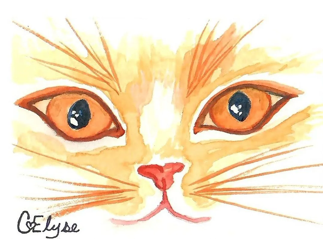 Close-up of a ginger cat's face with large amber eyes, a pink nose and long orange whiskers.