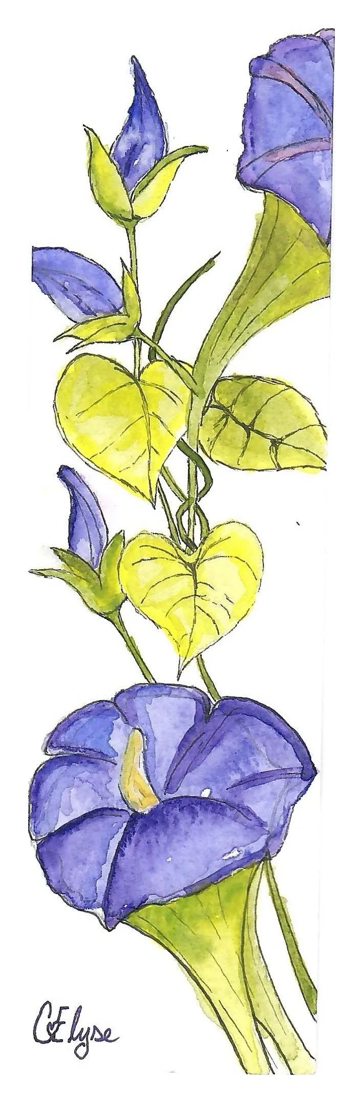 A tall, narrow painting of purple trumpet-shaped flowers and heart-shaped leaves on a climbing vine.