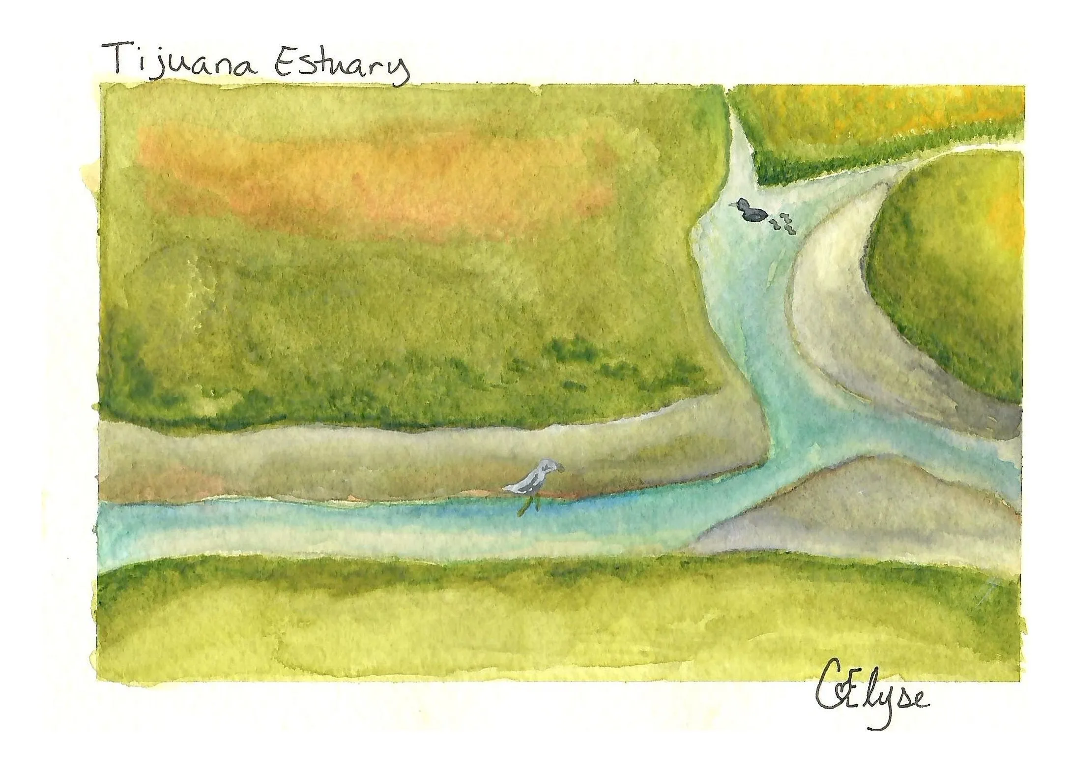 An aerial view of a winding blue channel cutting through green and ochre marshland, titled by hand.